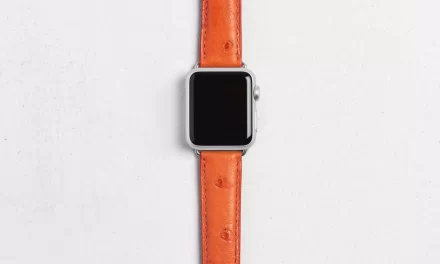 Quels sont les différents types de bracelet pour les Apple Watch ?