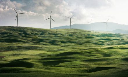 L’électricité verte : une solution d’avenir certifiée pour une transition énergétique durable