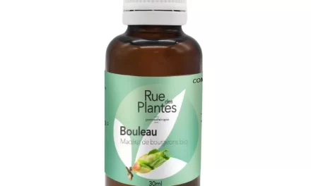 La nature au service du bien-être : gemmothérapie, vinaigre de cidre et aphrodisiaques naturels